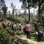 Aperte le iscrizioni ai World Food Photography Awards 2026, concorso globale per fotografi di cibo
