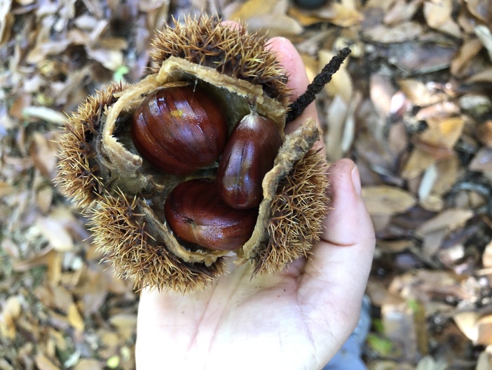 Autunno In Valtaro E Valceno3A