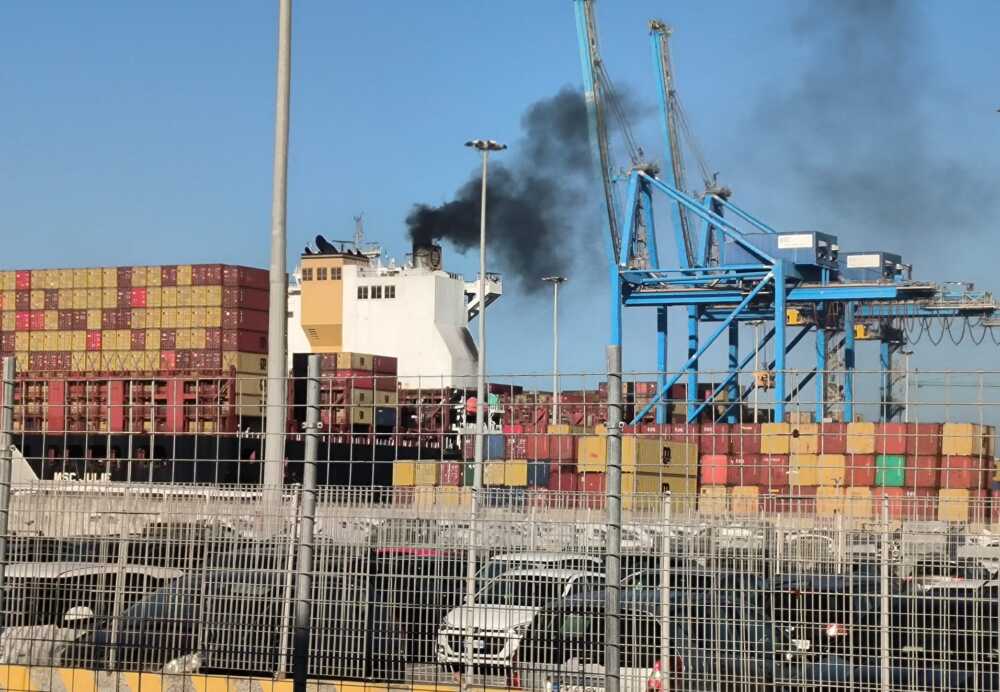 Capitaneria Di Civitavecchia D