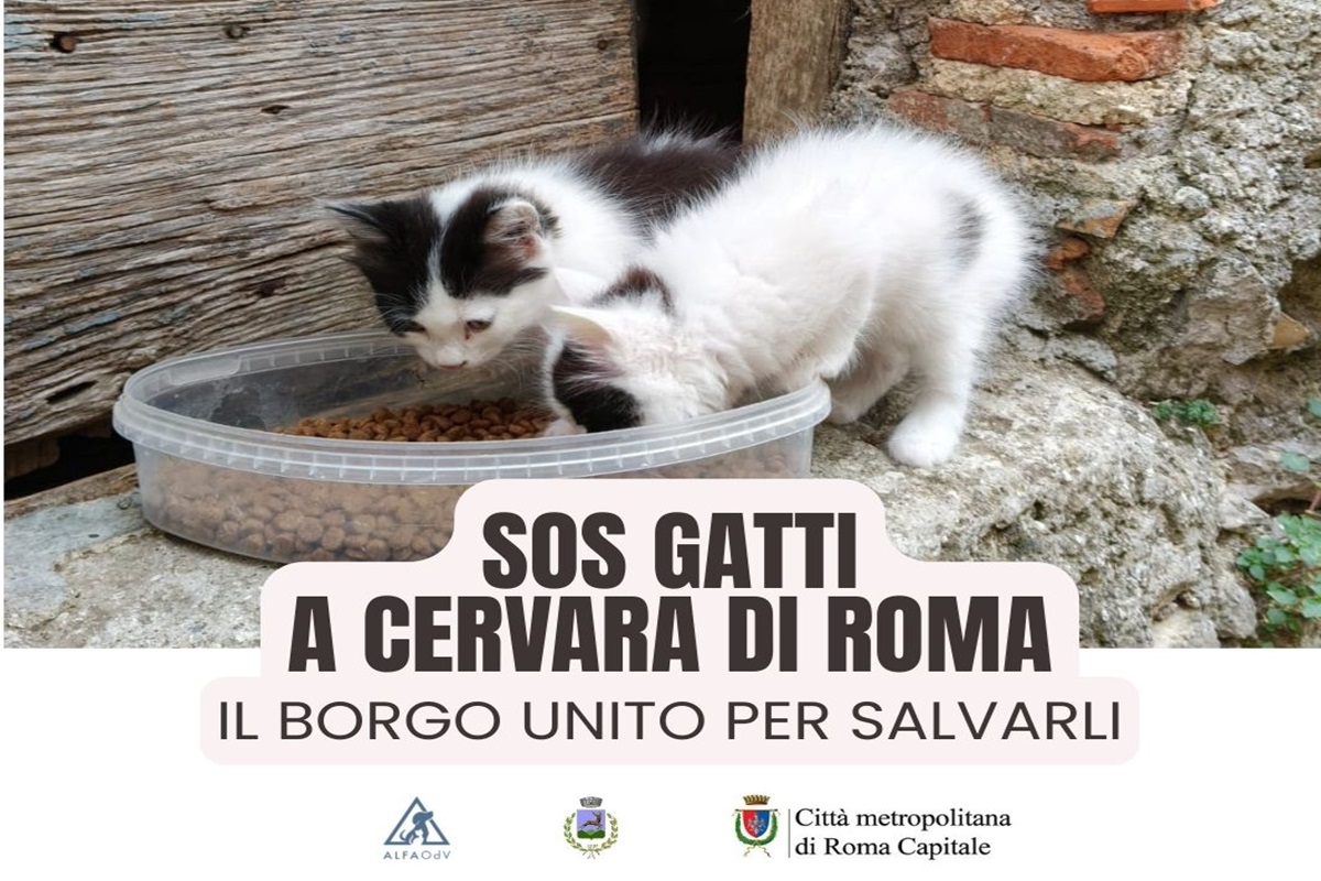 Cervara Di Roma Alza La Guardi