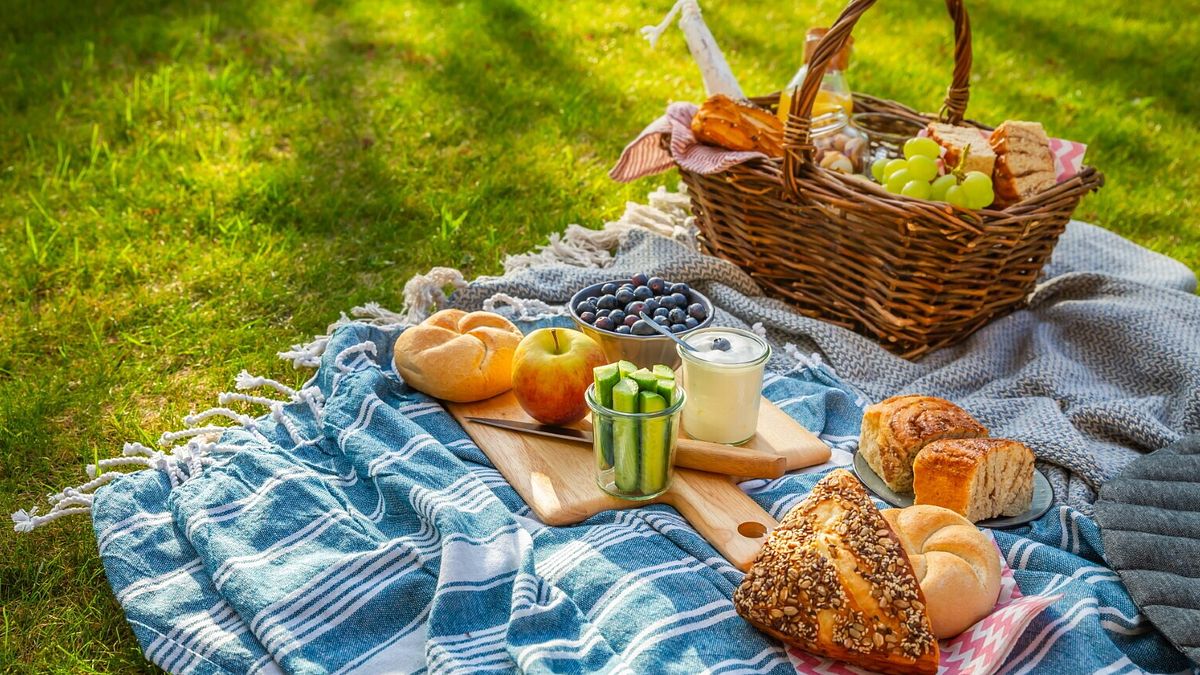 Dieci Regole Per Un Picnic Sos