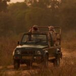 Evolution Travel: tour guidati e percorsi fuori dal comune per scoprire il Giappone a tutto tondo