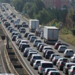 Gattino bloccato per giorni sul muro dell’autostrada a Rimini salvato dalle guardie zoofile