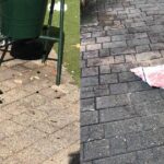 Giardino Montanaro a Torino: l’area verde tra risse, degrado e richieste di maggiori controlli