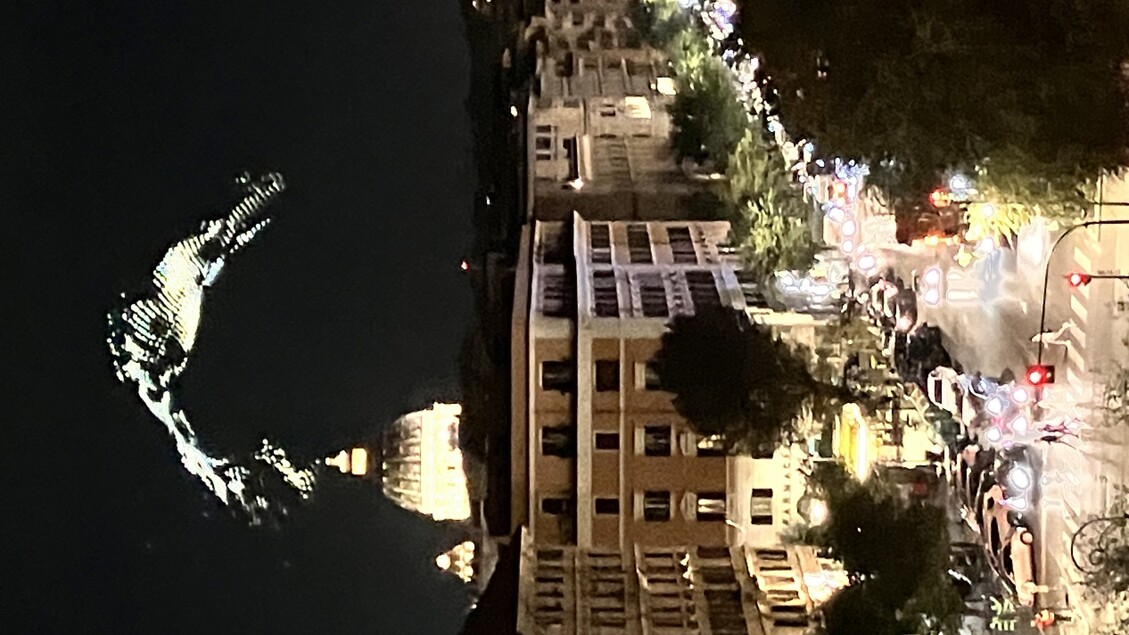 Grande Affluenza A Piazza San