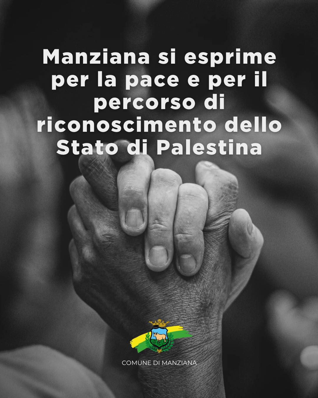 Il Consiglio Comunale Di Manzi