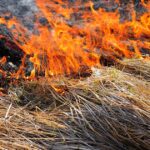 Incendio Devasta Cascina e 50 rotoballe a Bussoleno: vigili del fuoco in azione per ore