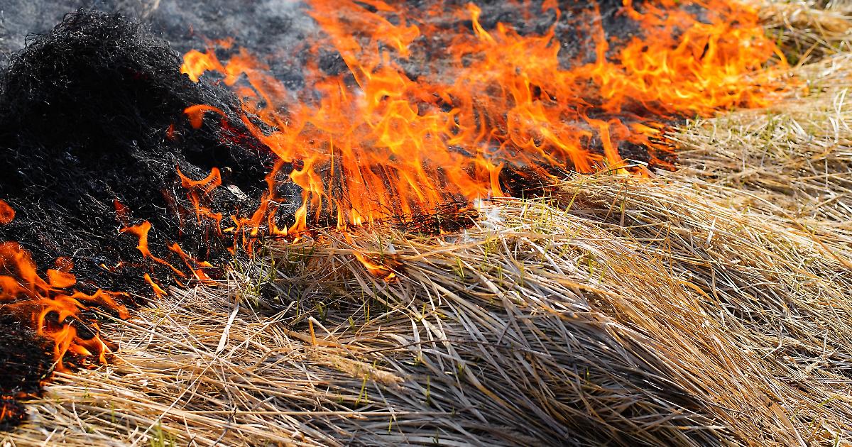 Incendio Devasta Cascina E 50