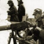 La crisi di luglio del 1914: come le tensioni europee portarono allo scoppio della Prima Guerra Mondiale