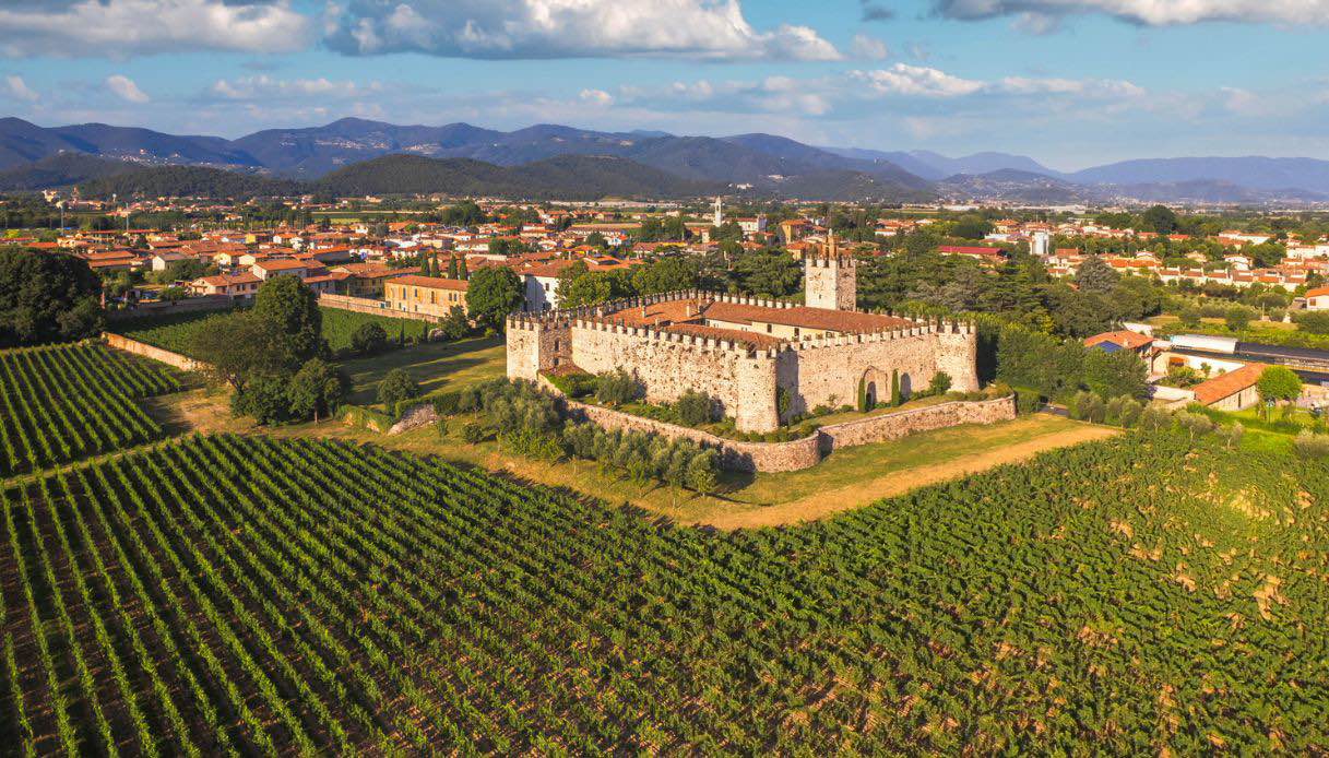 Le Sagre Delle28099Uva E Del Vino I
