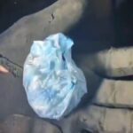 Morto Dopo Assunzione Di Cocaina In Lombardia: 39Enne Fermato Senza Patente E Soccorso Tardivo