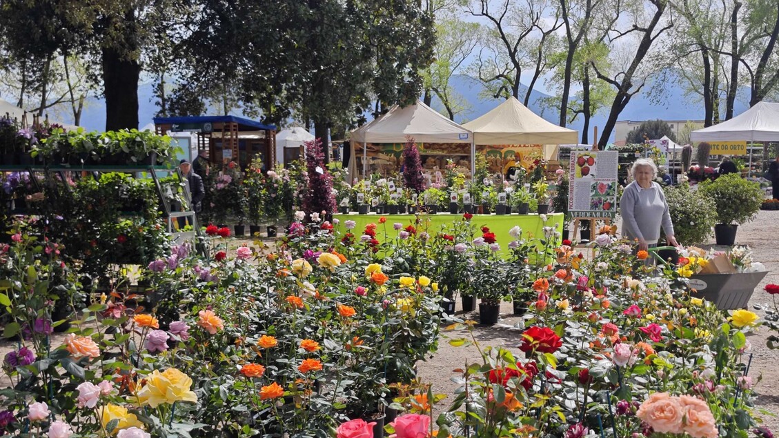 Murabilia 2025 Torna A Lucca3A