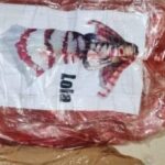 Operazione Rider: arresti e misure cautelari per narcotraffico a Montesilvano e Pescara, coinvolti anche minorenni