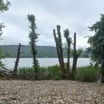 Scoperta spiaggia privata abusiva in area protetta al Lago Di Comabbio a Vergiate