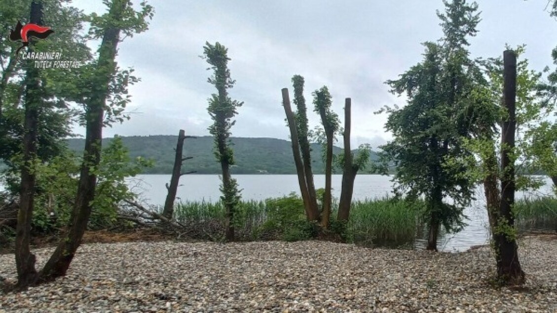 Scoperta Spiaggia Privata Abus