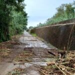Temporale intenso manda in tilt Massa E Carrara con allagamenti e disagi alla circolazione