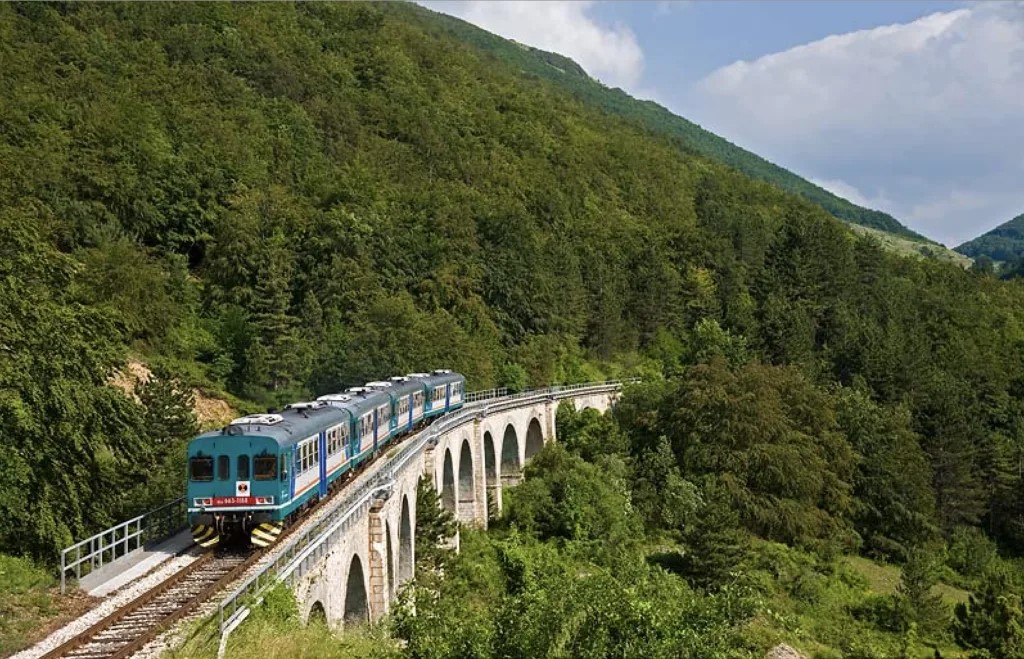 Torna In Corsa La Aln668 Bio G