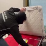 Tre perquisizioni della Digos a Padova dopo aggressione con trauma cranico allo Sherwood Festival