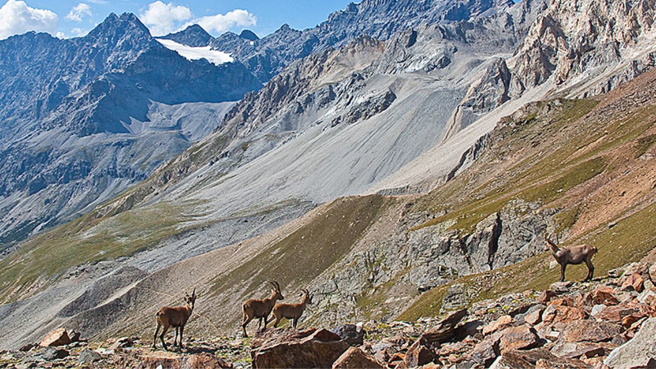 Valtellina Protagonista Con Du