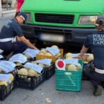 Vendita abusiva di frutta a Roma, sequestrato carico di 3 quintali senza autorizzazioni in Piazza Re di Roma
