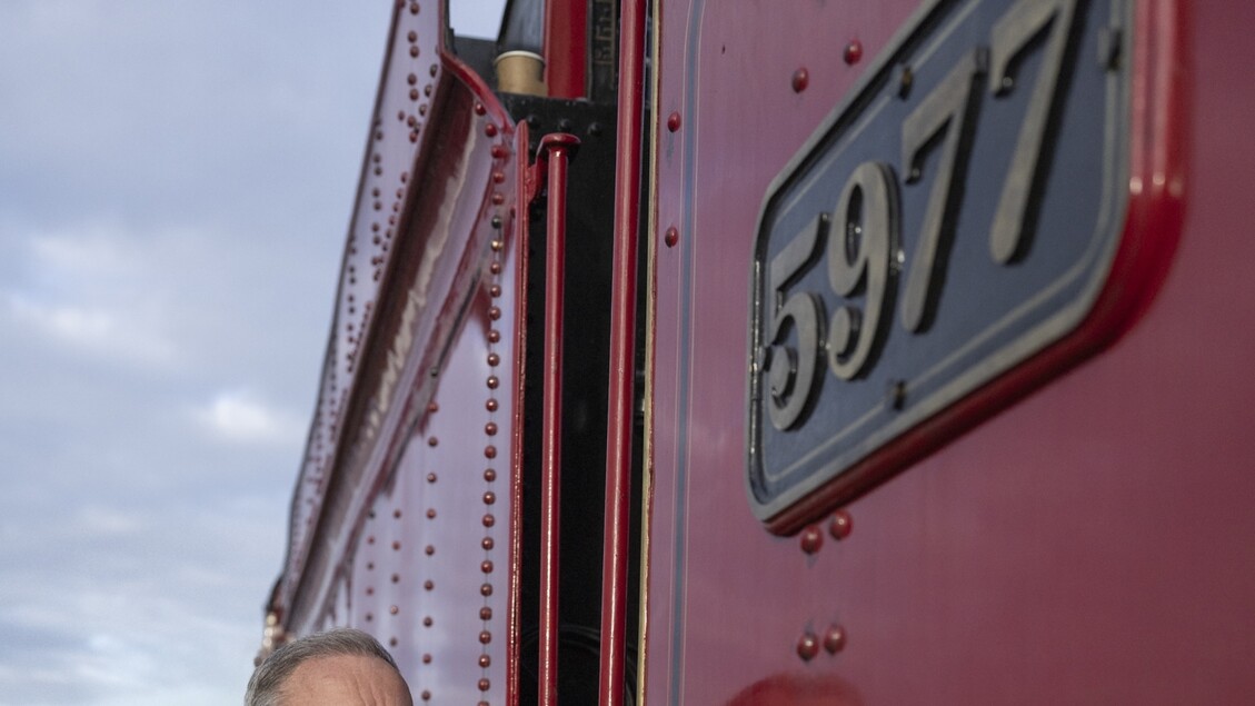 Warwick Davis Torna Come Profe