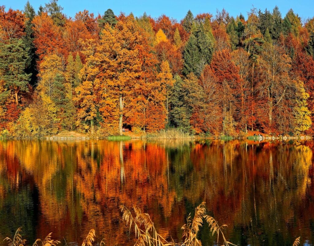 Autunno Stagione Cambiamento Climatico 1024X804 1