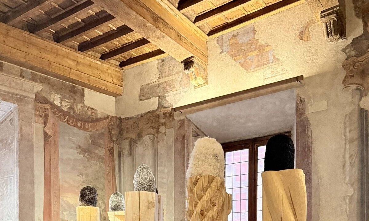 Roma ospita una mostra dedicata all’artista romeno Mircea Cantor