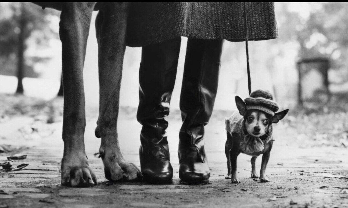 Elliott Erwitt: la mostra a Bologna esplora l’uomo dietro l’obiettivo