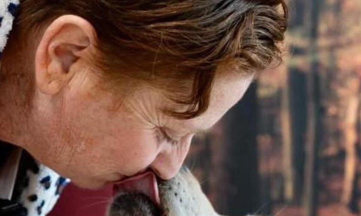 Cane Joy avverte la padrona del tumore: riconoscimento internazionale a Treviso
