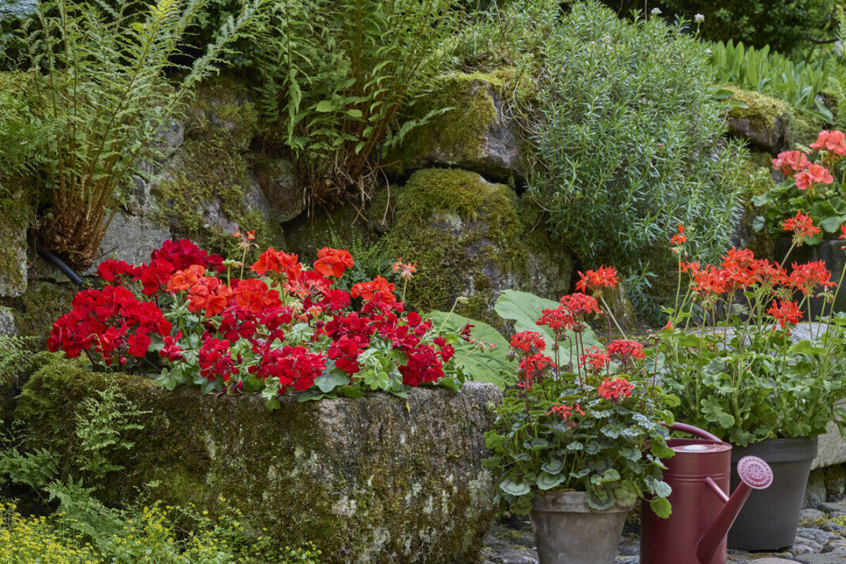 Giardini e balconi: come creare spazi per insetti e biodiversità